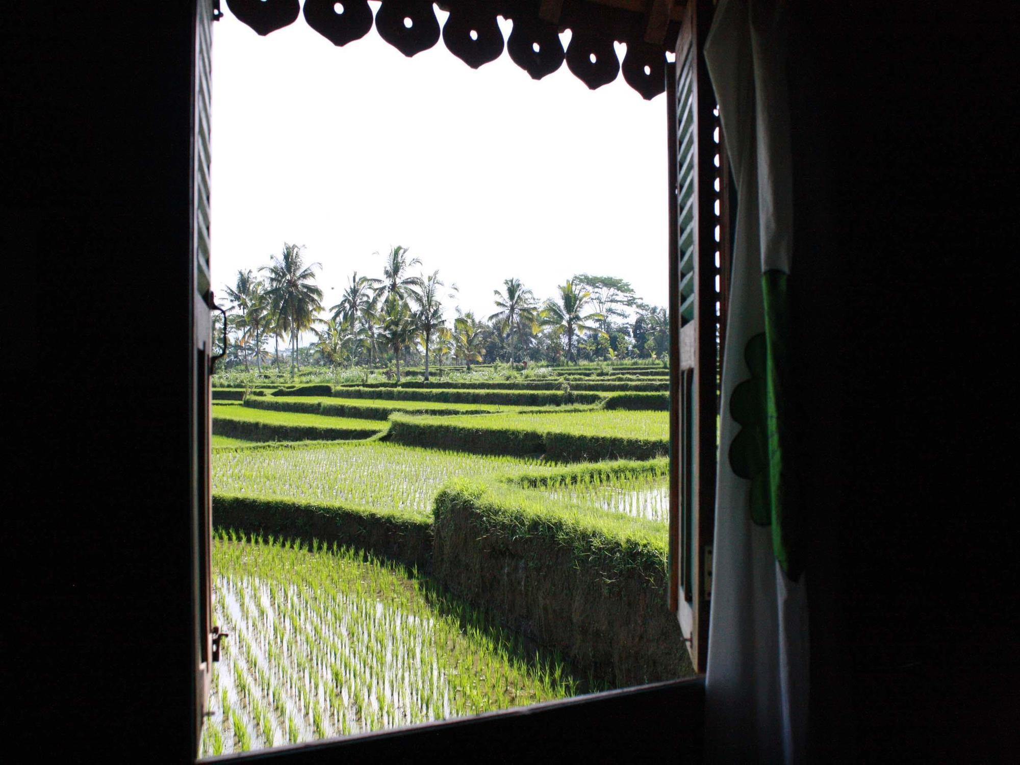 Hati Padi Cottages Ubud Exterior foto